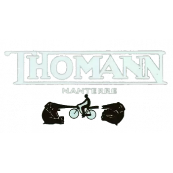 Decalcomania Thomann De99 - 1