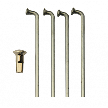 125cm3 Honda XLS - 1