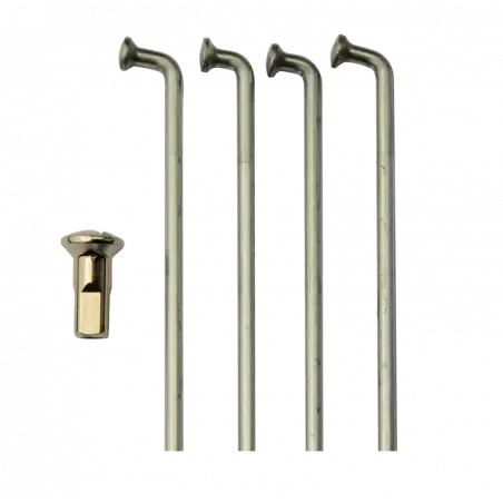 125cm3 Honda XLS - 1 125cm3 Honda XLS - 1