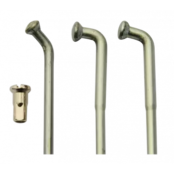 240cm³ Cagiva type RX - 1