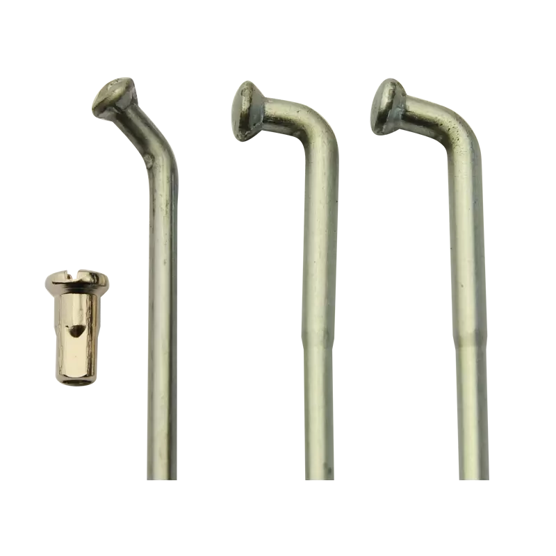 240cm³ Cagiva type RX - 1