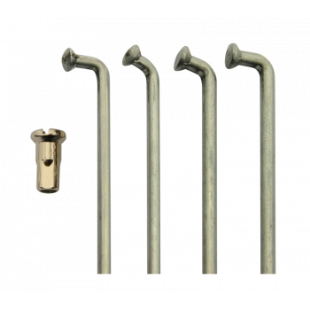 250 et 350cm3 Kawasaki S1 et S2 - 1