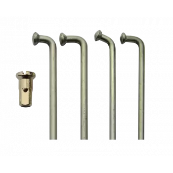 250cm3 Aermacchi type Ala Verde de 1970 - 1