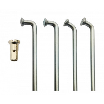 250cm3 Kawasaki KT Trial - 1