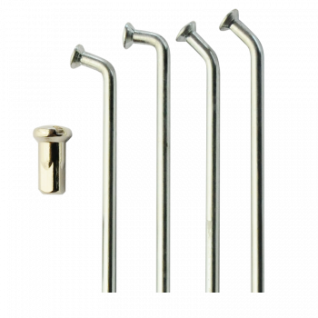 350cm3 Fantic TX - 1