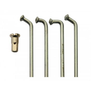 500cm3 Ducati GTL de 1976 - 1