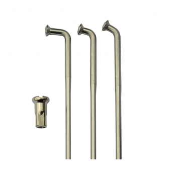 500cm3 Yamaha XT - 1