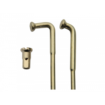 600cm3 Yamaha XT - 1