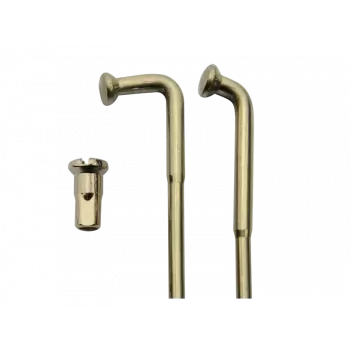 600cm3 Yamaha XT - 1