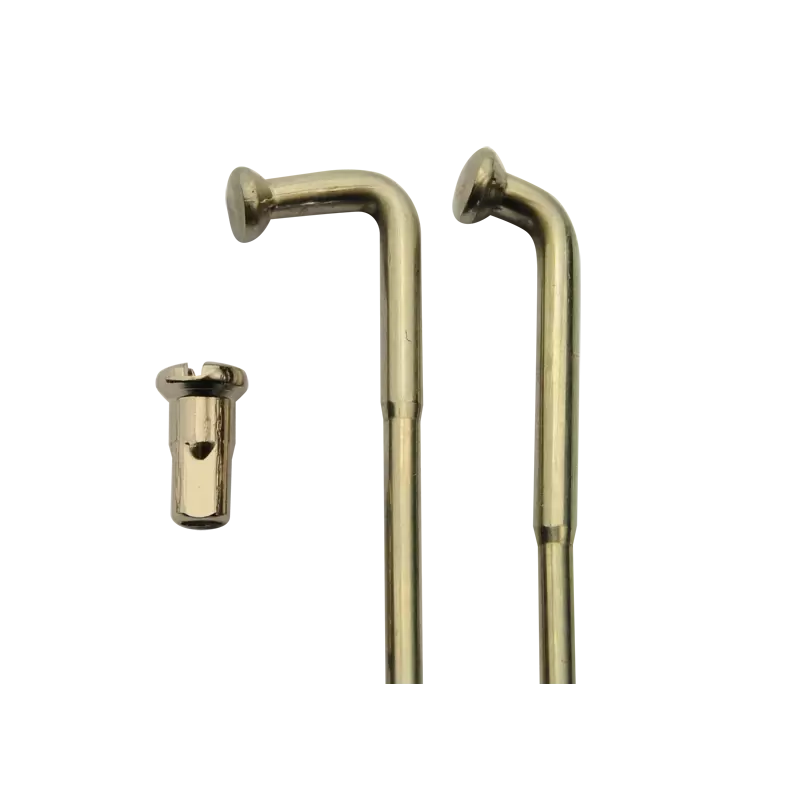 600cm3 Yamaha XT - 1