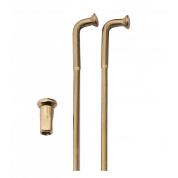 650cm3 Kawasaki Z Type B1 - 1