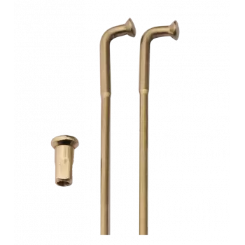 650cm3 Kawasaki Z Type B1 - 1