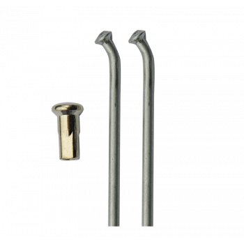 800cm3 Gnôme Rhône CV2 - 1