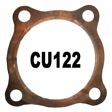 BSA - 5 BSA - 5