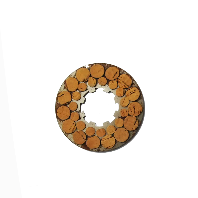 Disque cyclo Itom Astor - 1