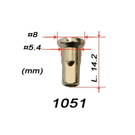 Ecrou pour Rayons de 3mm - 2 Ecrou pour Rayons de 3mm - 2