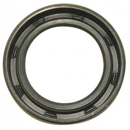 Lip seal - 1