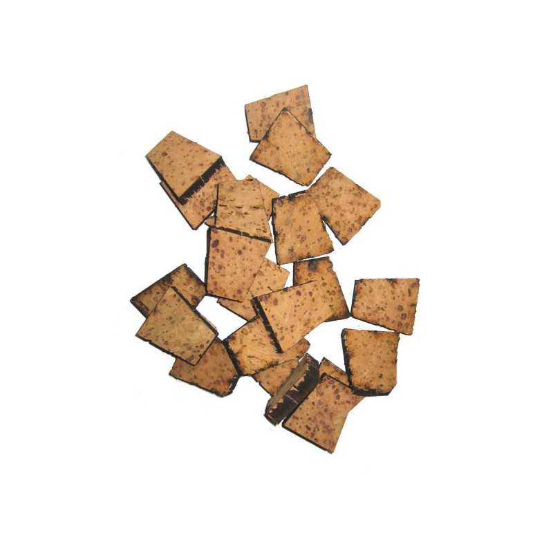 Cork 350/500 Terrot - 1