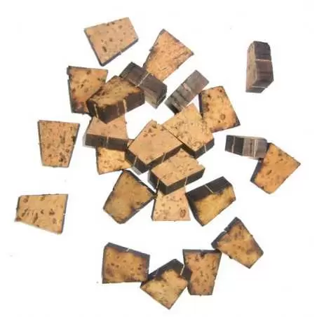 Gearbox cork Burmann (gearbox) - 1 Gearbox cork Burmann (gearbox) - 1
