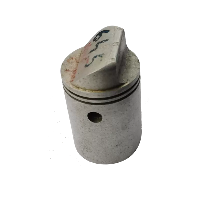 Piston Monet Goyon 250cm3 - 2