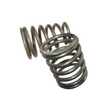 Valve spring - 1