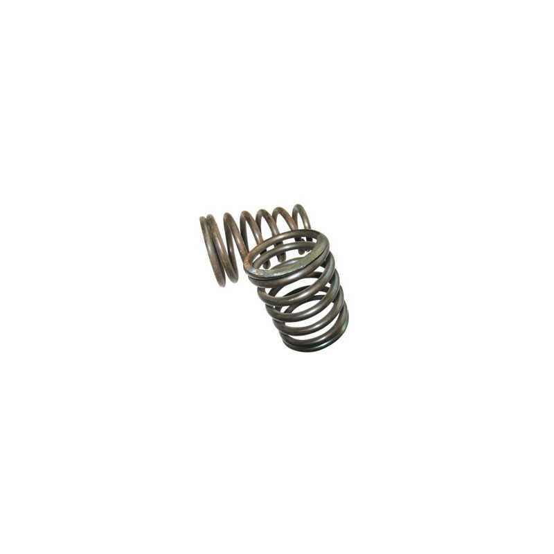 Valve spring - 1