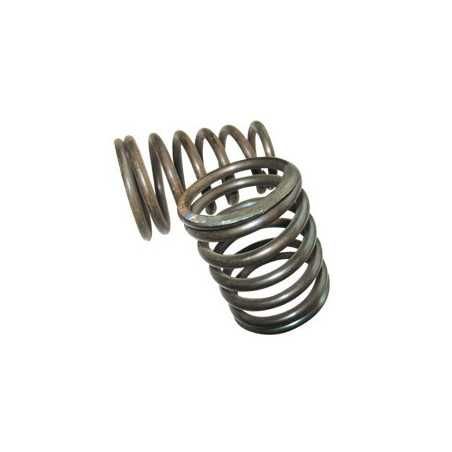 Valve spring - 1