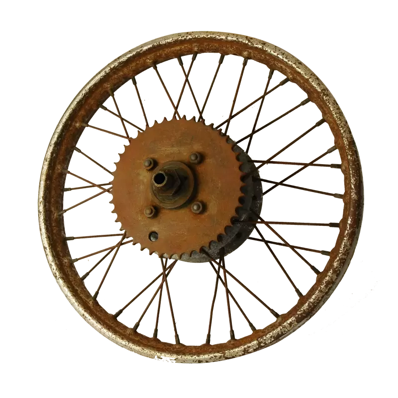 Wheel Scooter or Moto 16 inches - 2