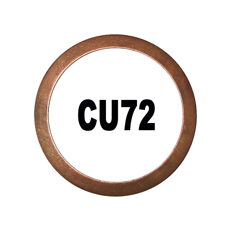 Terrot Gasket Round - 2