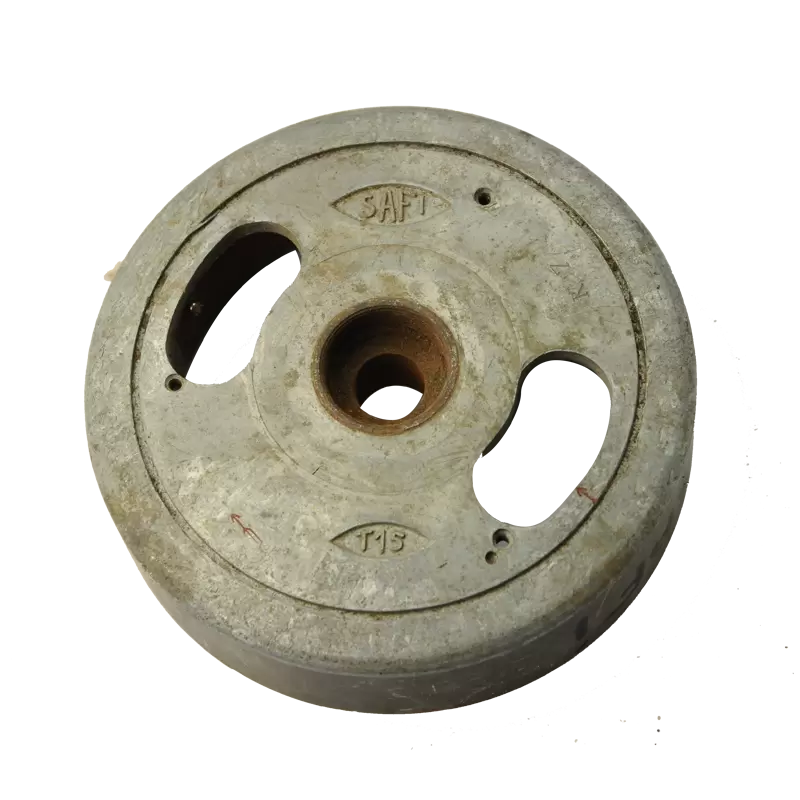 Magnetic flywheel SAFI T15 - 1