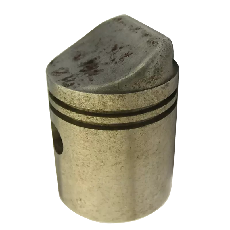 Piston Monet Goyon 100cm3 - 1