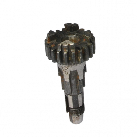 Pignon à queue pour Peugeot 100cm³ P53-P54 - 1 Pignon à queue pour Peugeot 100cm³ P53-P54 - 1
