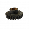 Pignon de boîte Terrot 100cm³ MTR M344 - 2