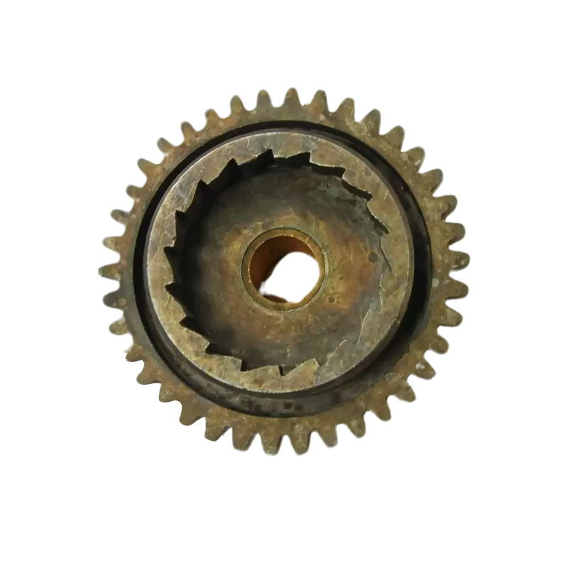 Pignon de kick Terrot 100cm³, 3 vitesses - 2