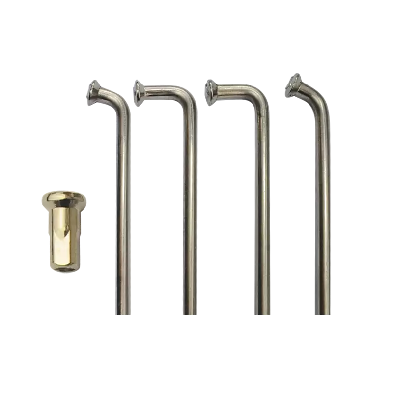 Rayons - Kit SUZUKI 250cm³ TS (1974) - 1