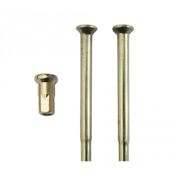 Rayons - Kit BSA 650cm³ A60 (1964) - 1