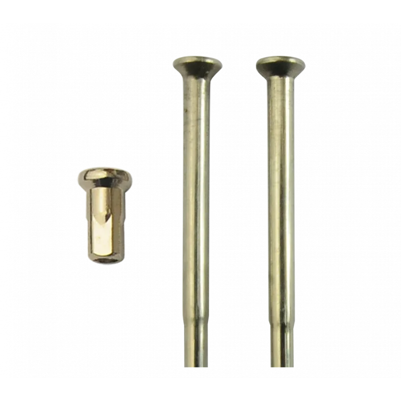 Rayons - Kit BSA 650cm³ A60 (1964) - 1