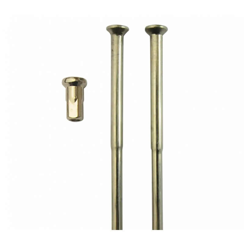 copy of Rayons - Kit BSA 650cm³ A65 - 2