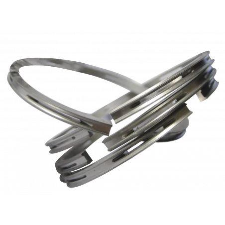 Type RACLEUR Diam. 44.5 to 55.5mm - 1 Type RACLEUR Diam. 44.5 to 55.5mm - 1
