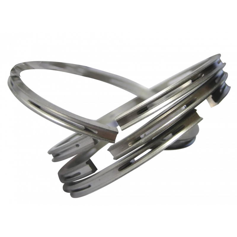 Type RACLEUR Diam. 66.5 to 78mm - 1