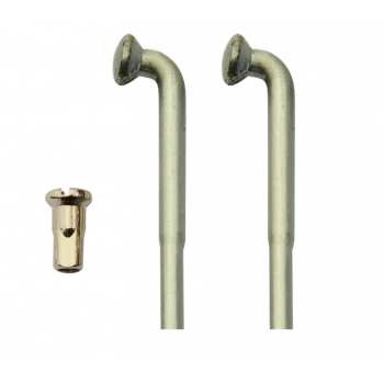 copy of Spokes - Kit Terrot - Magnat Debon