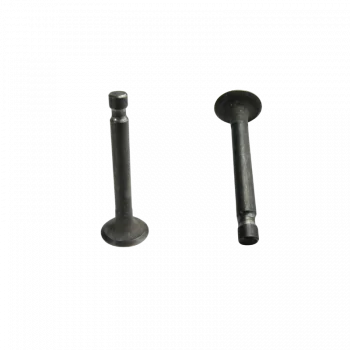 Valves fromExhaust Honda P50F Amigo